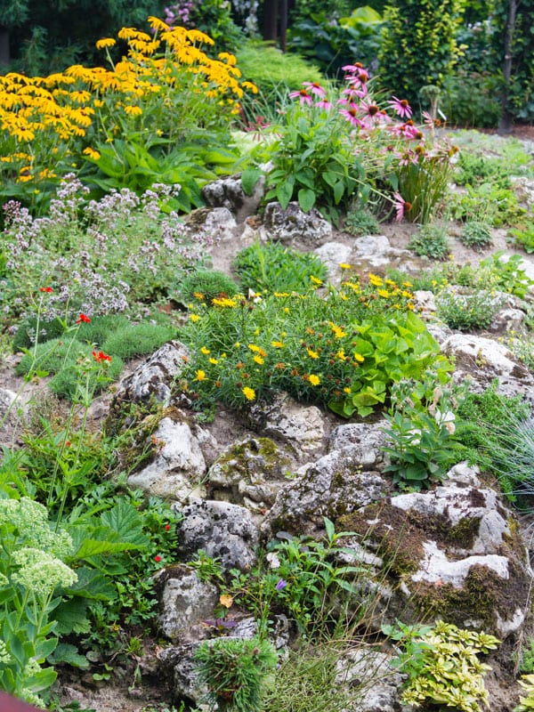 Alpine Garden