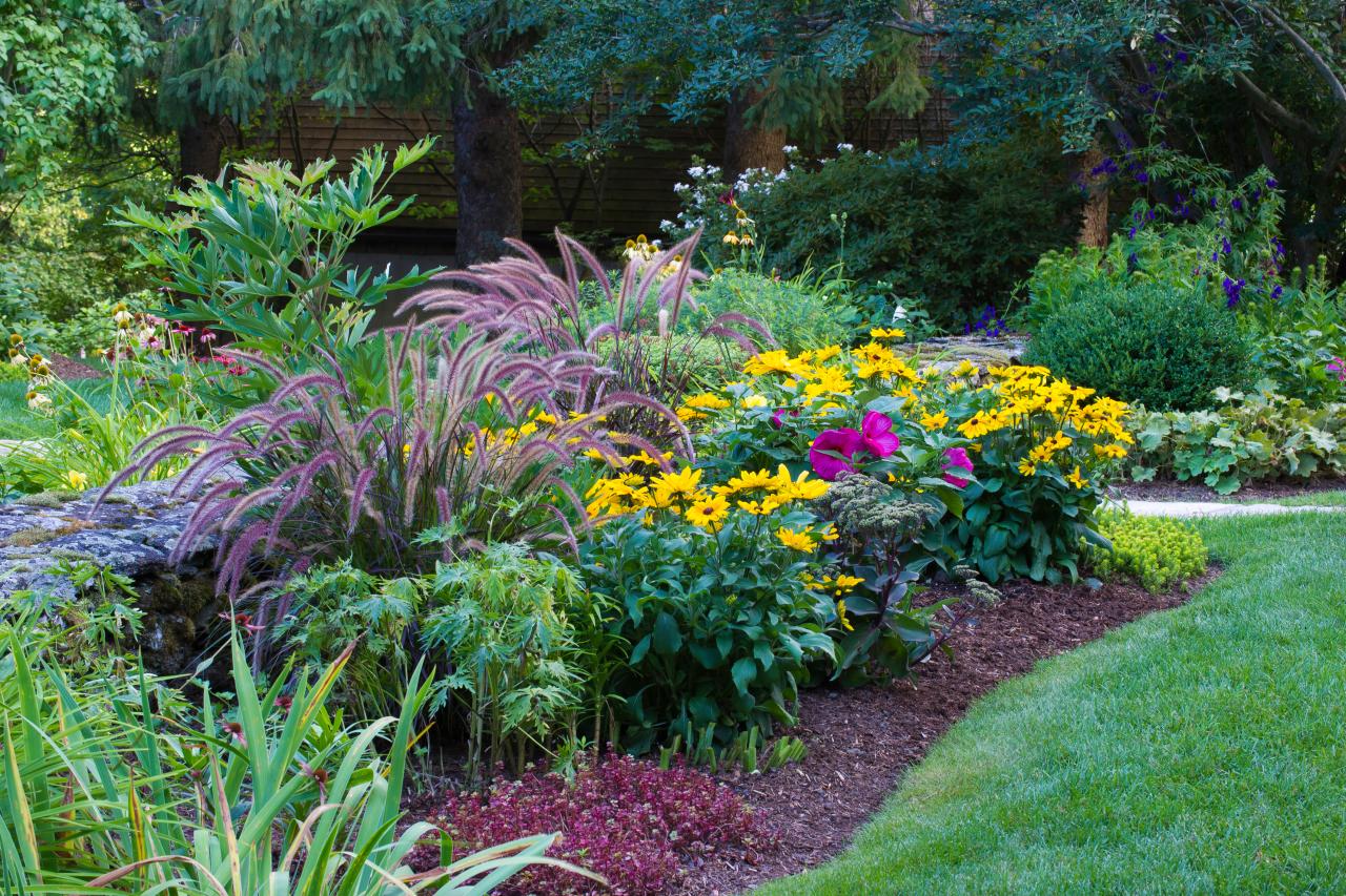 Full Sun Perennial Garden Designs Landscape Design Flowering Shrubs