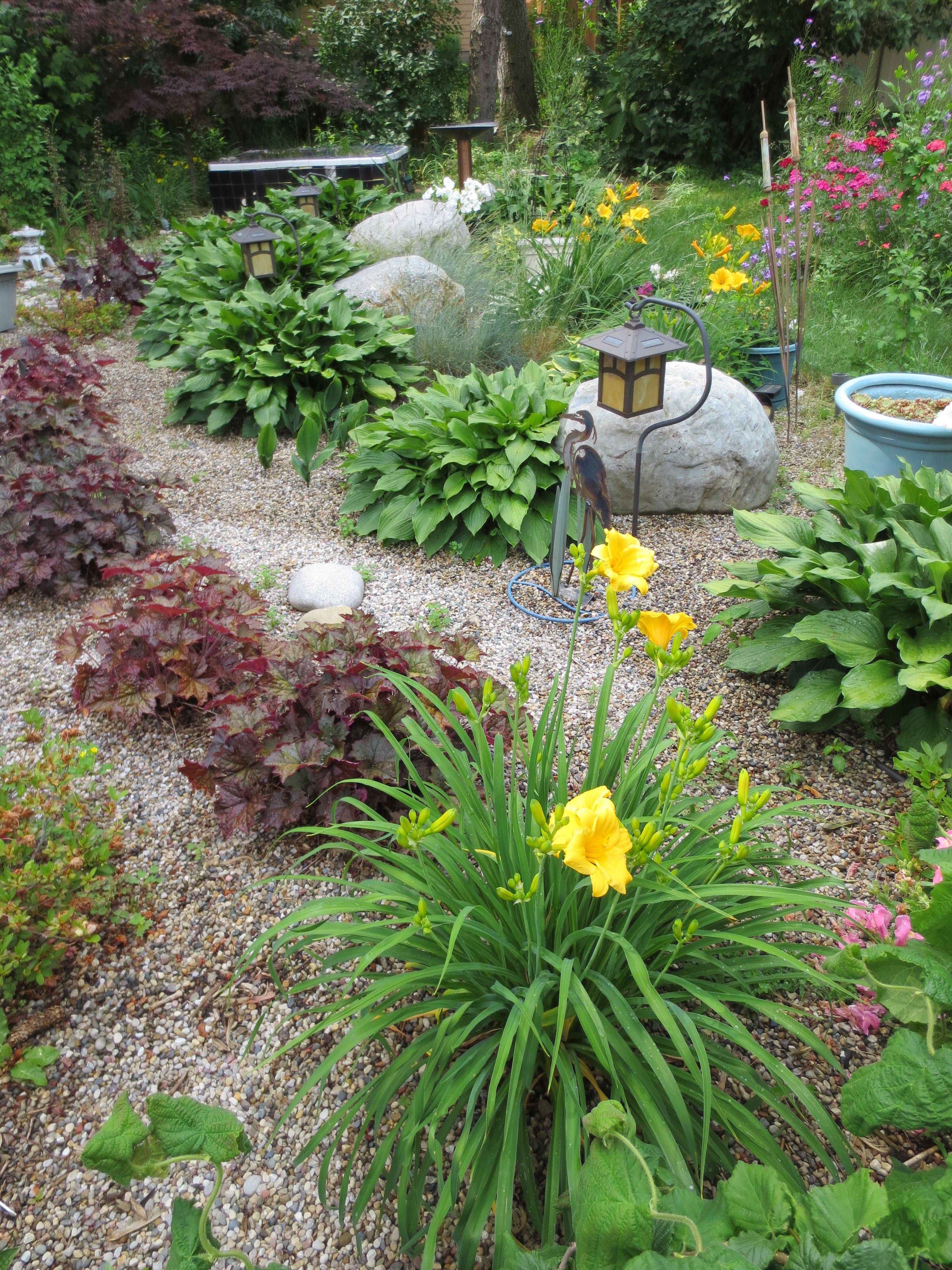 Rock Garden Ideas