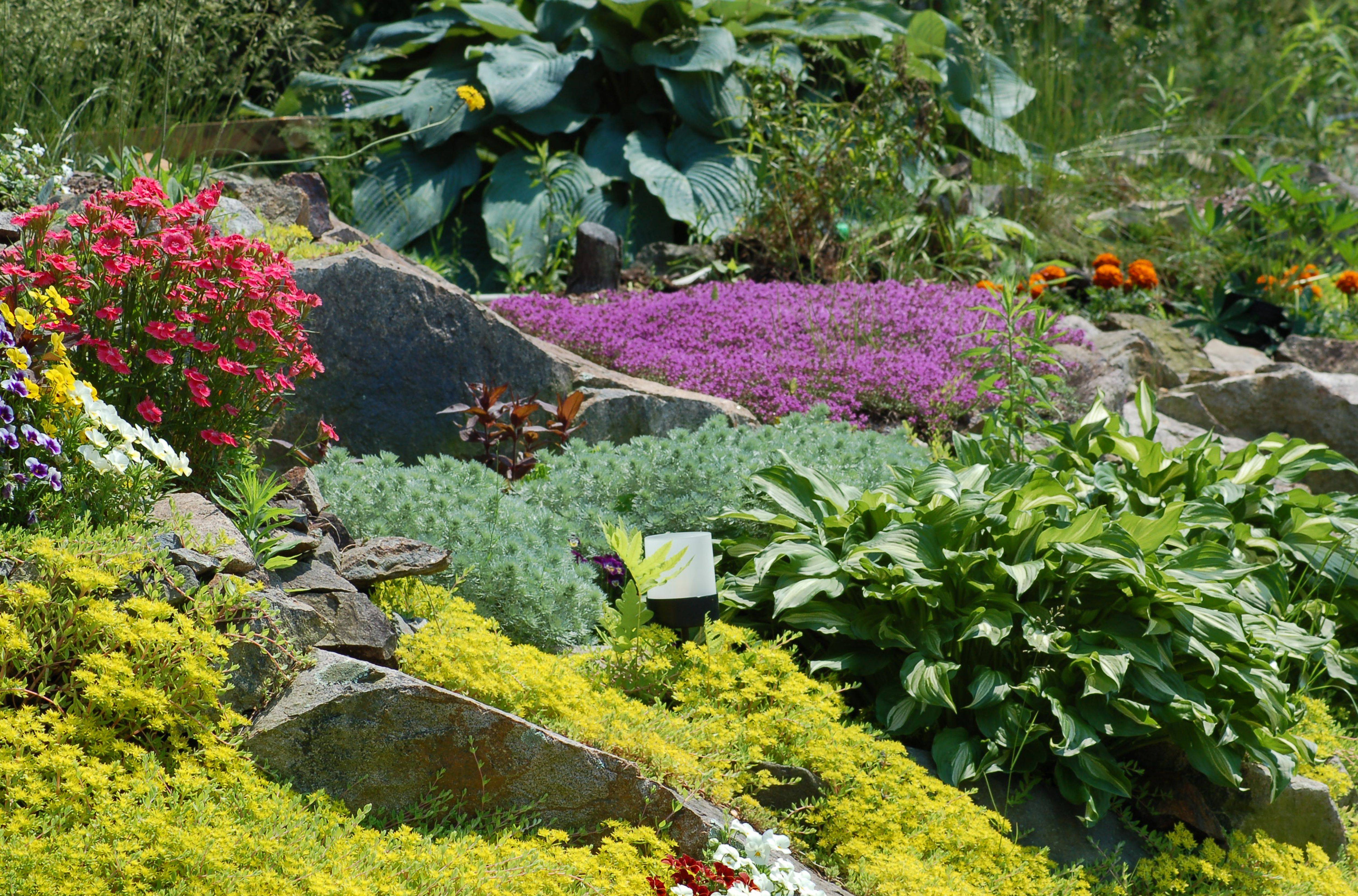 Rock Garden