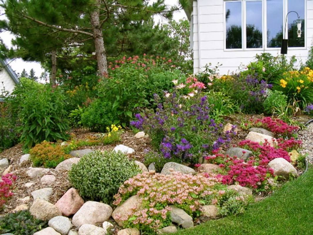 A Rock Border Wall Perennial Garden