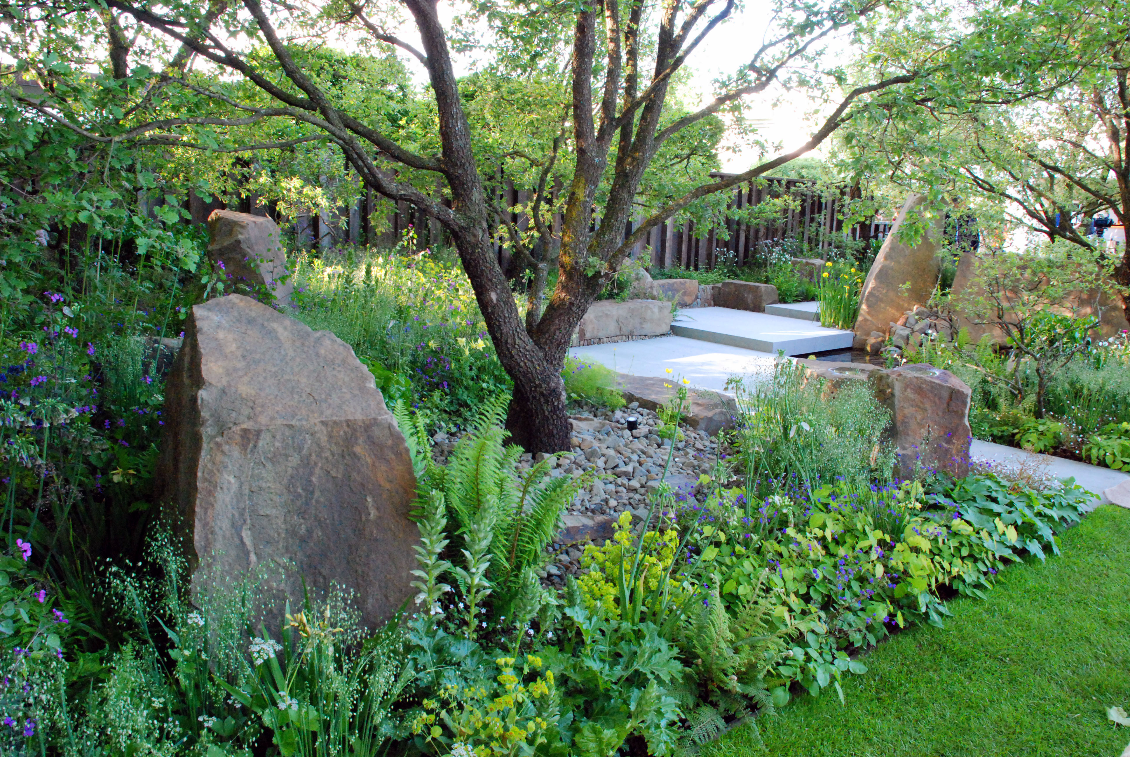 A Wild Informal Garden Finegardening