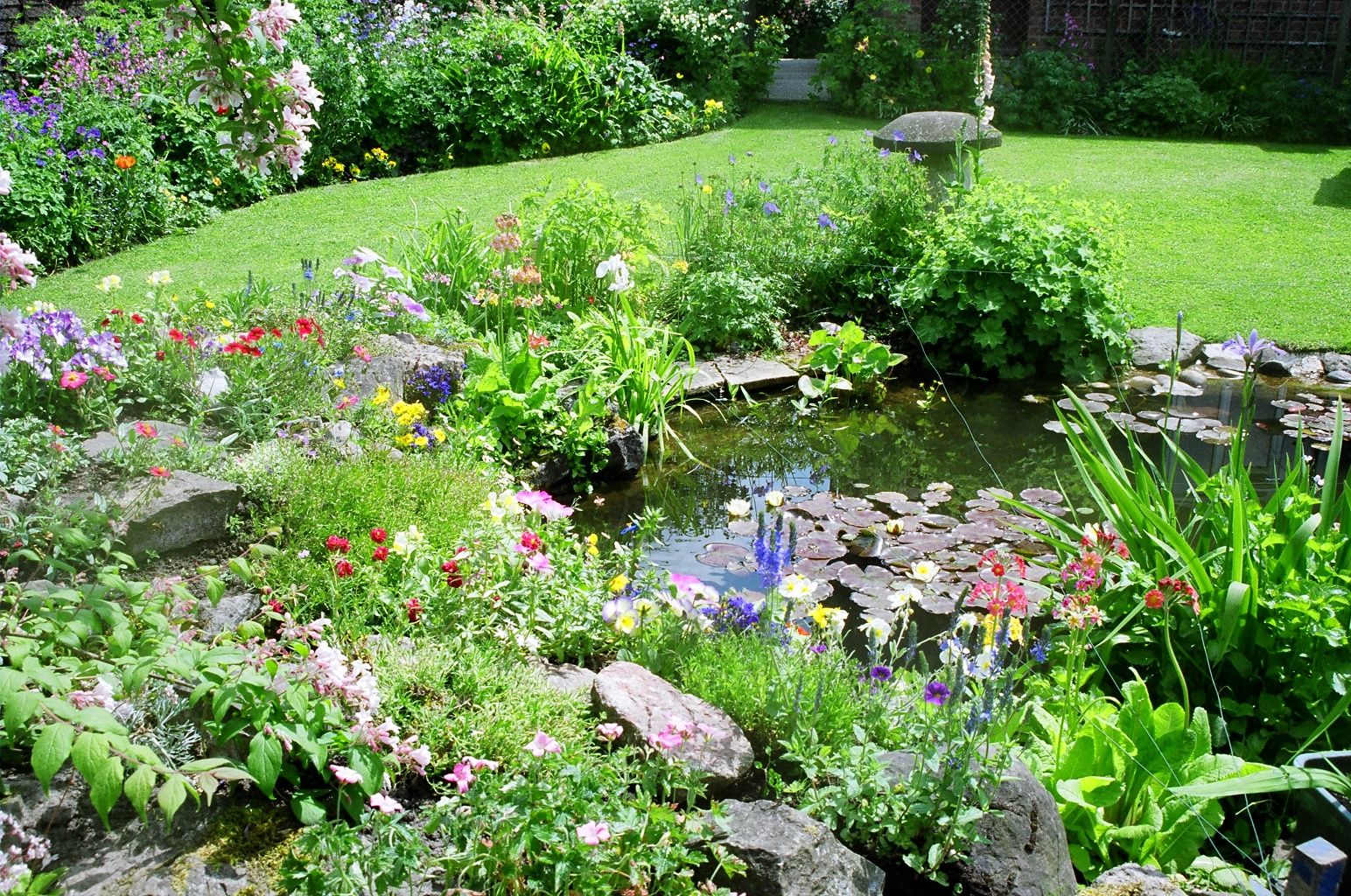 A Wild Naturalistic Style Garden
