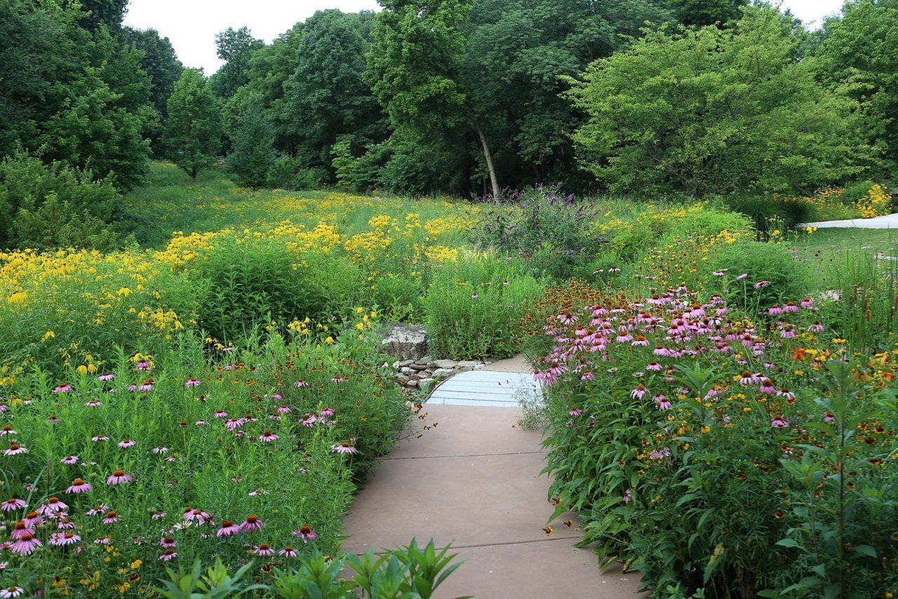 Monarch Waystation Tour Landscaping Images