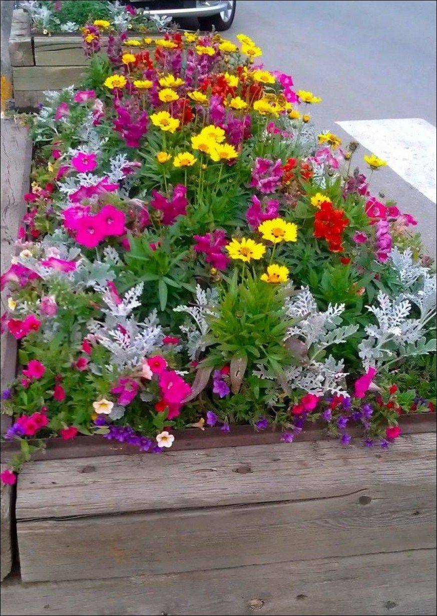 Wild Flowers
