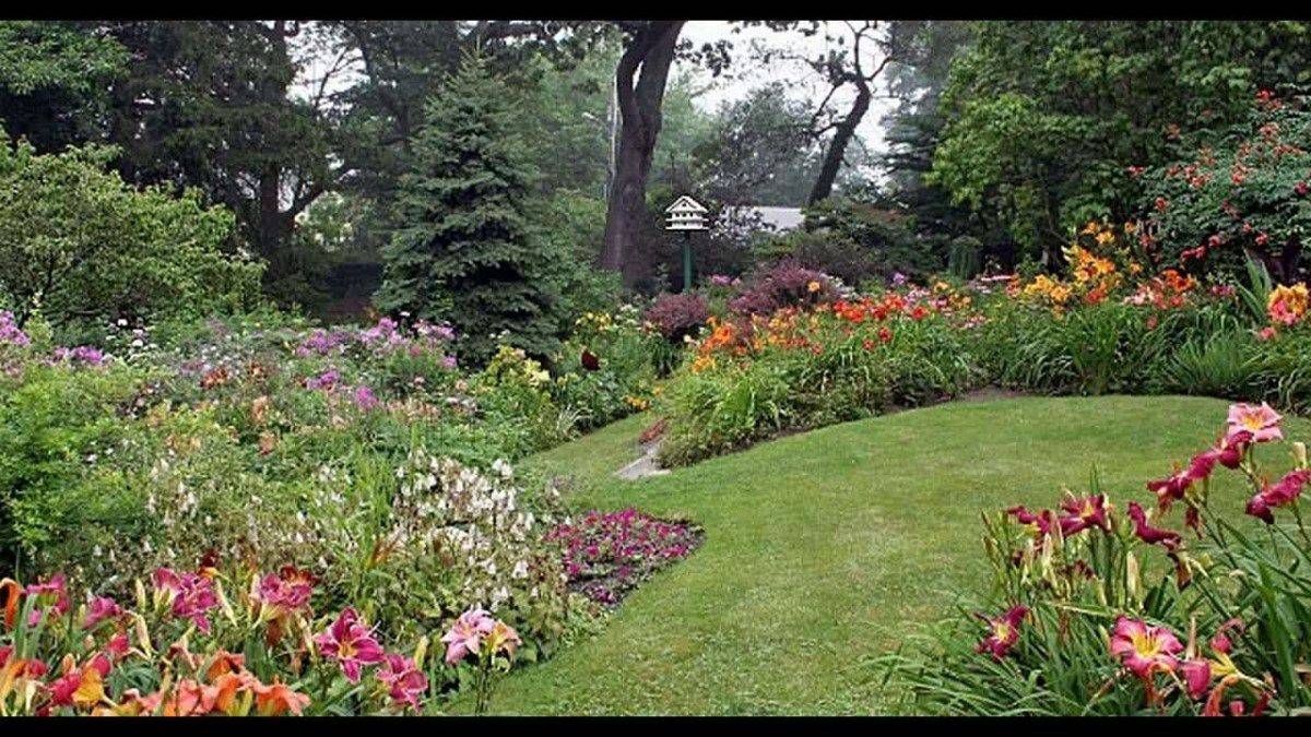 Wild Flower Garden Ideas