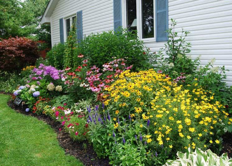 Flower Beds Ideas