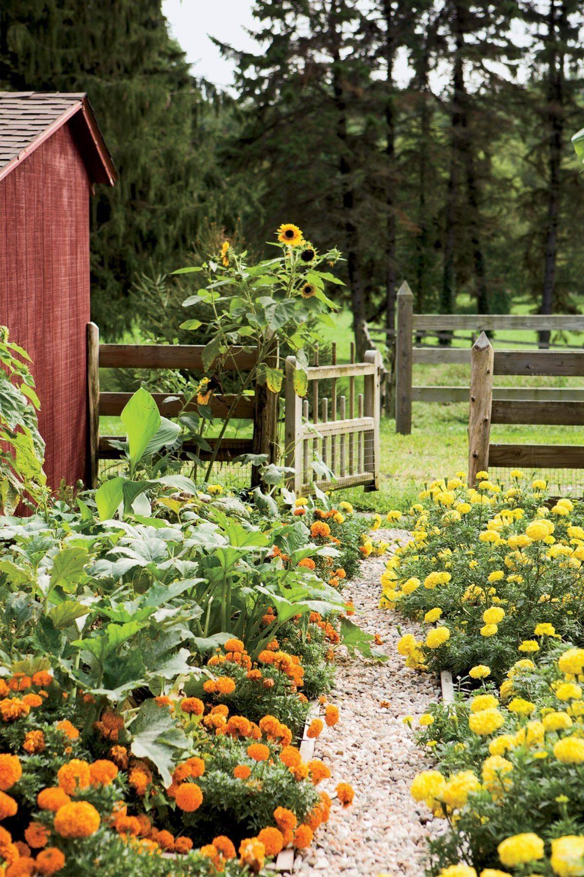 Gorgeous Flower Bed Ideas