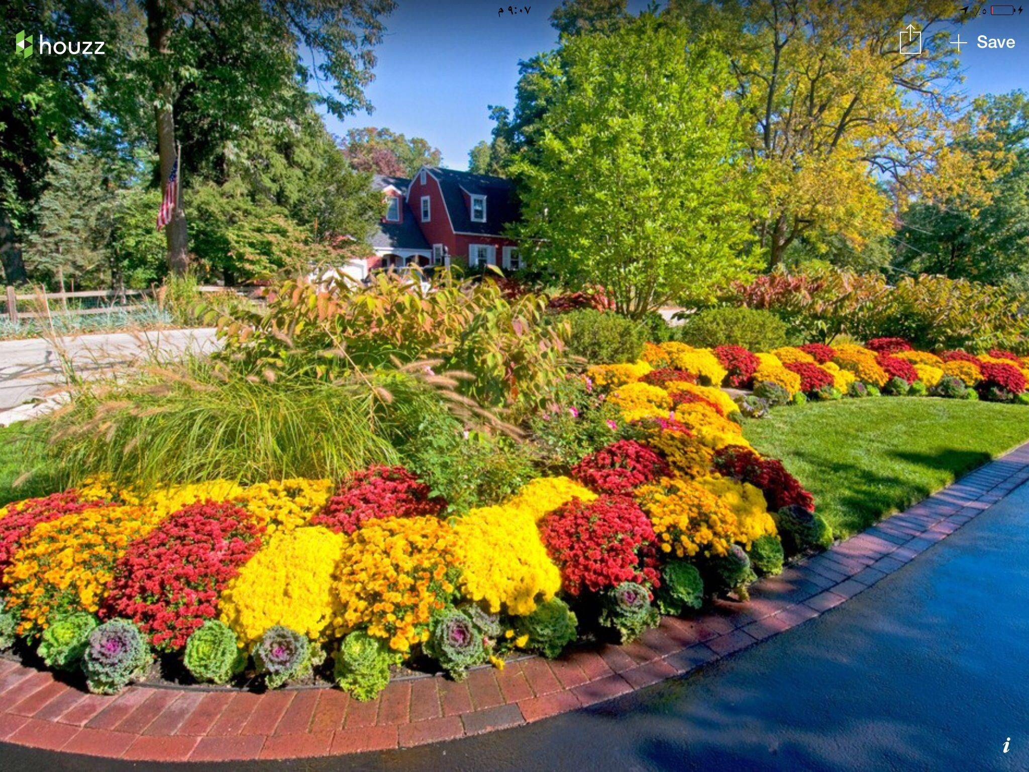 Beautiful Fall Mums Garden Landscaping Ideas