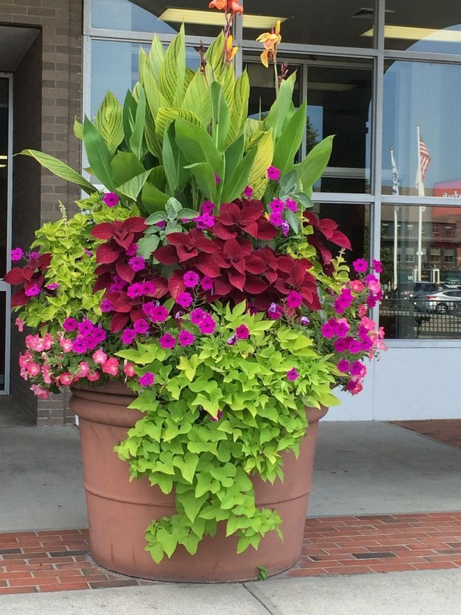 Container Gardening Ideas Quiet Corner
