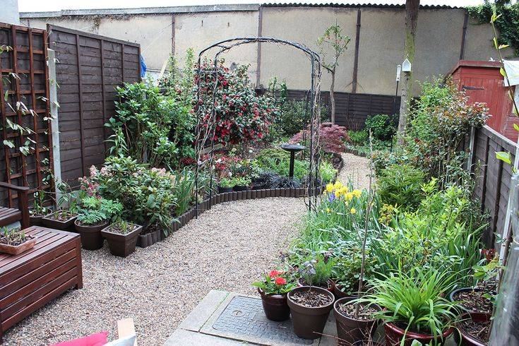 Backyard Landscaping