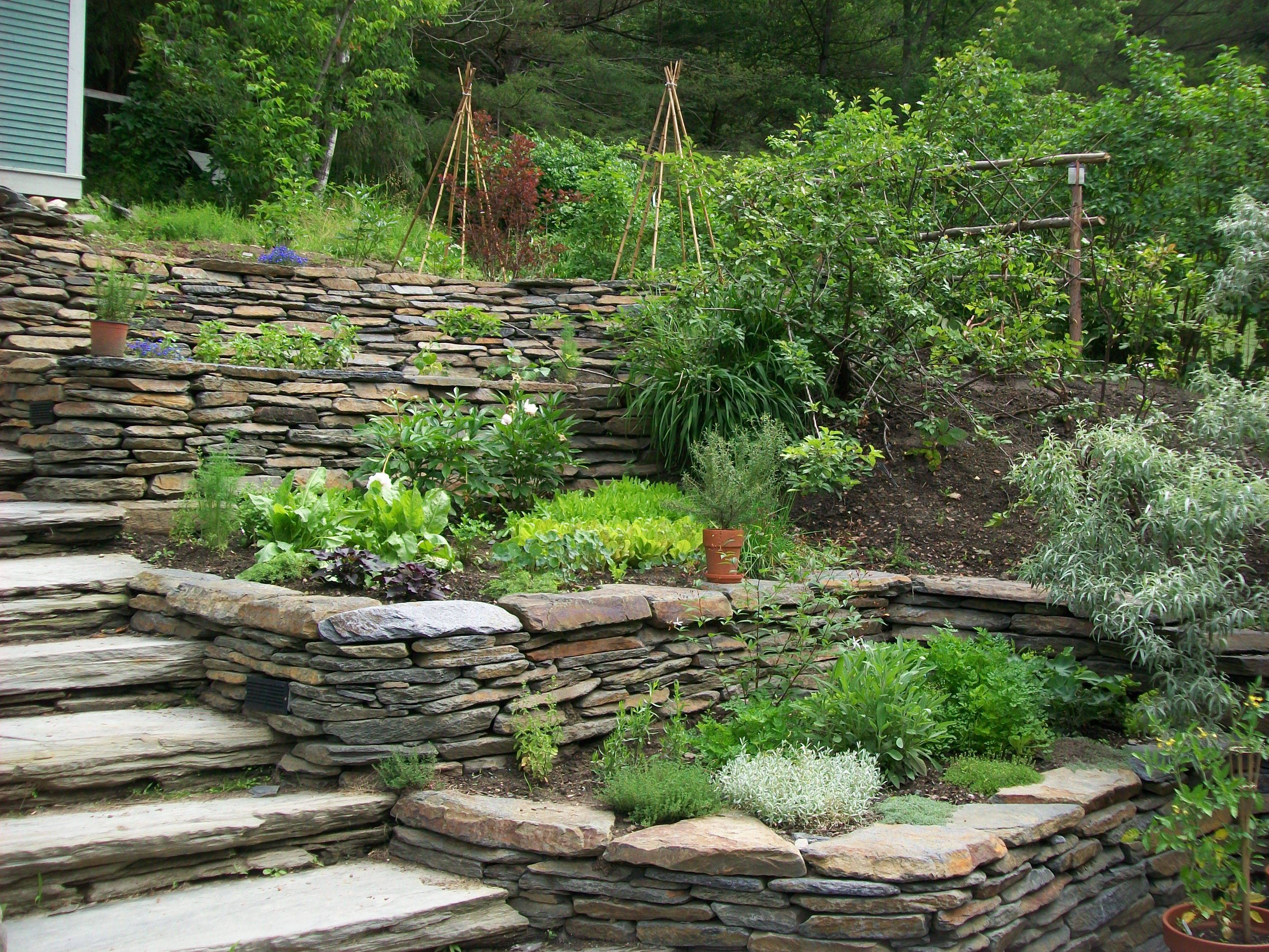 Hill Rock Wall Gardens