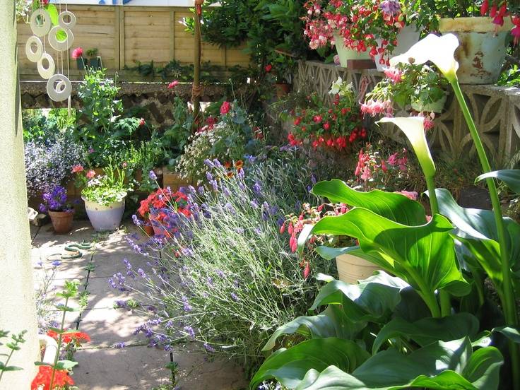 Creative Diy Patio Gardens Ideas