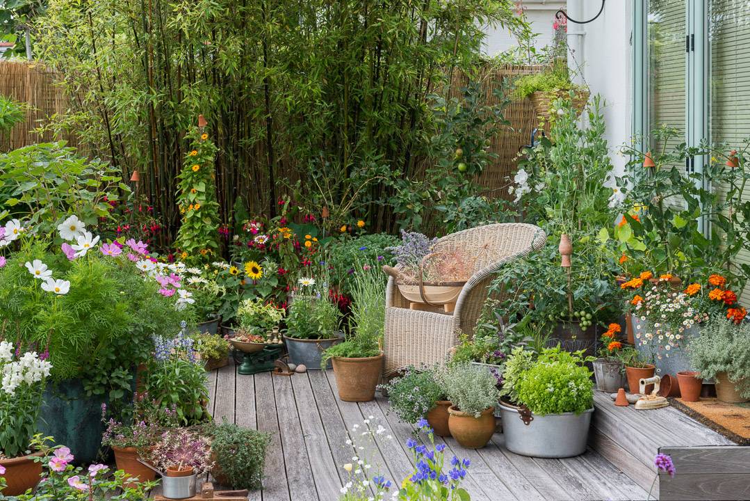 Stunning Small Cottage Garden Ideas