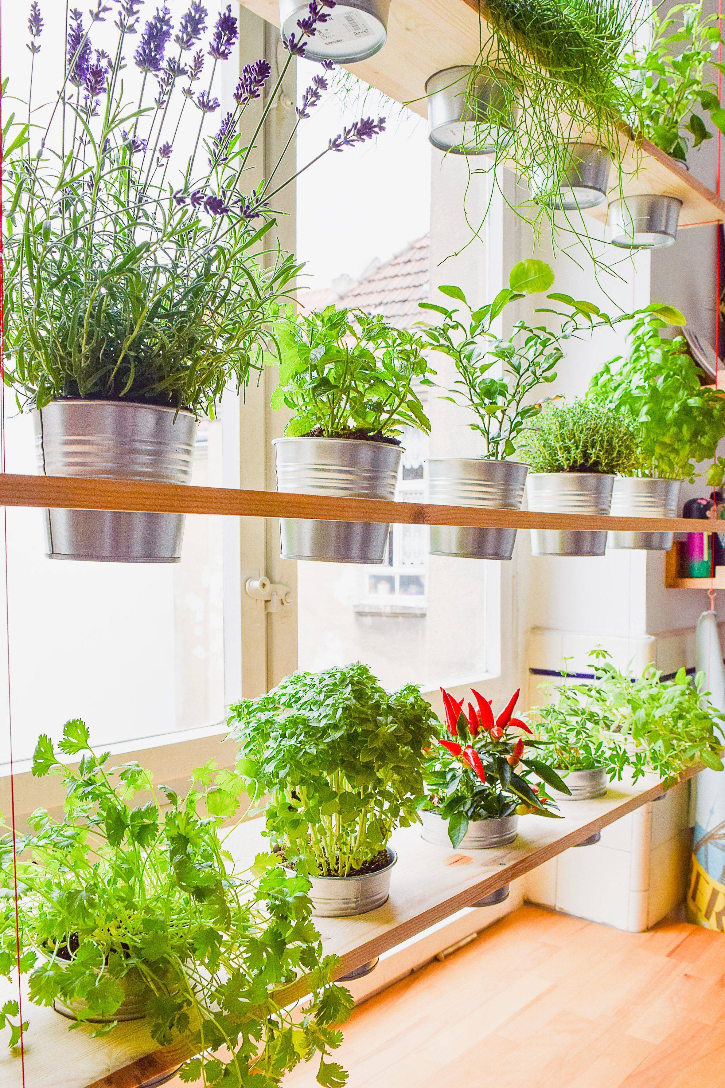 Diy Indoor Herb Garden Ideas And Planters Theyre Easy So Cute