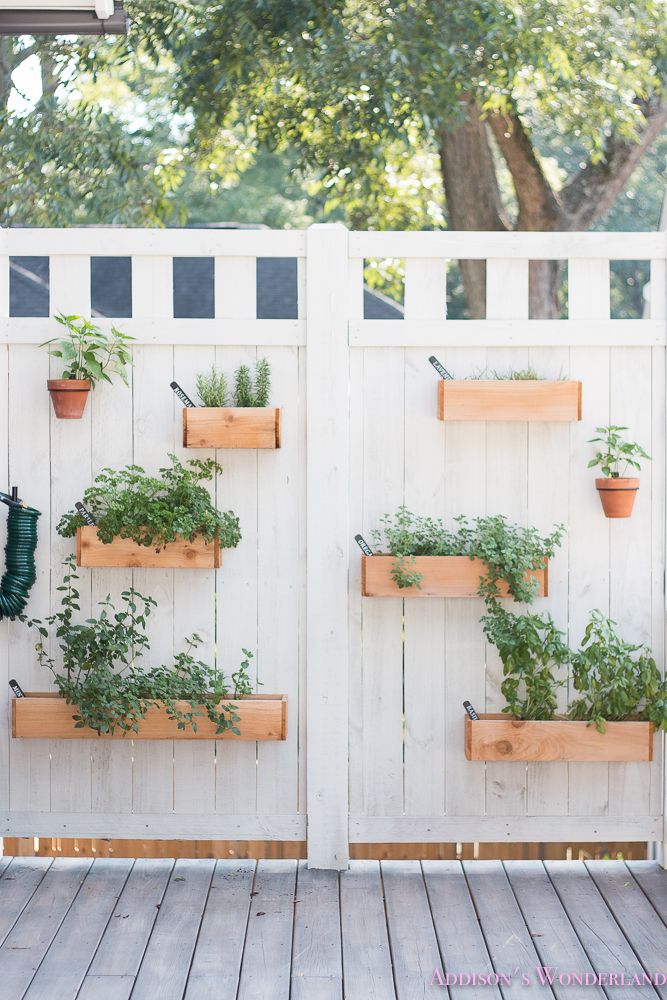 Diy Garden Herb Wall Thats So Gemma