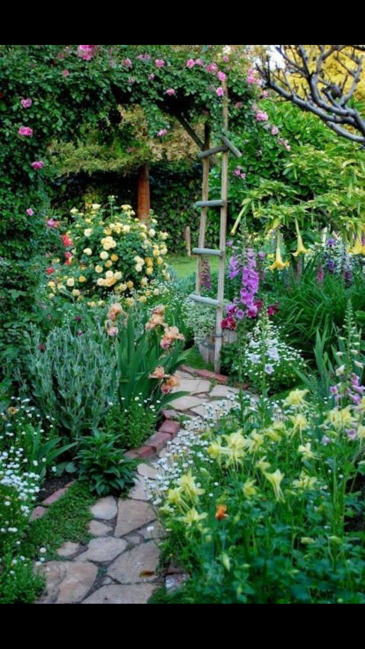 Nice Modern English Country Garden Design Ideas