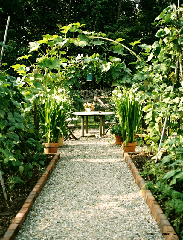Pretty Cottage Garden