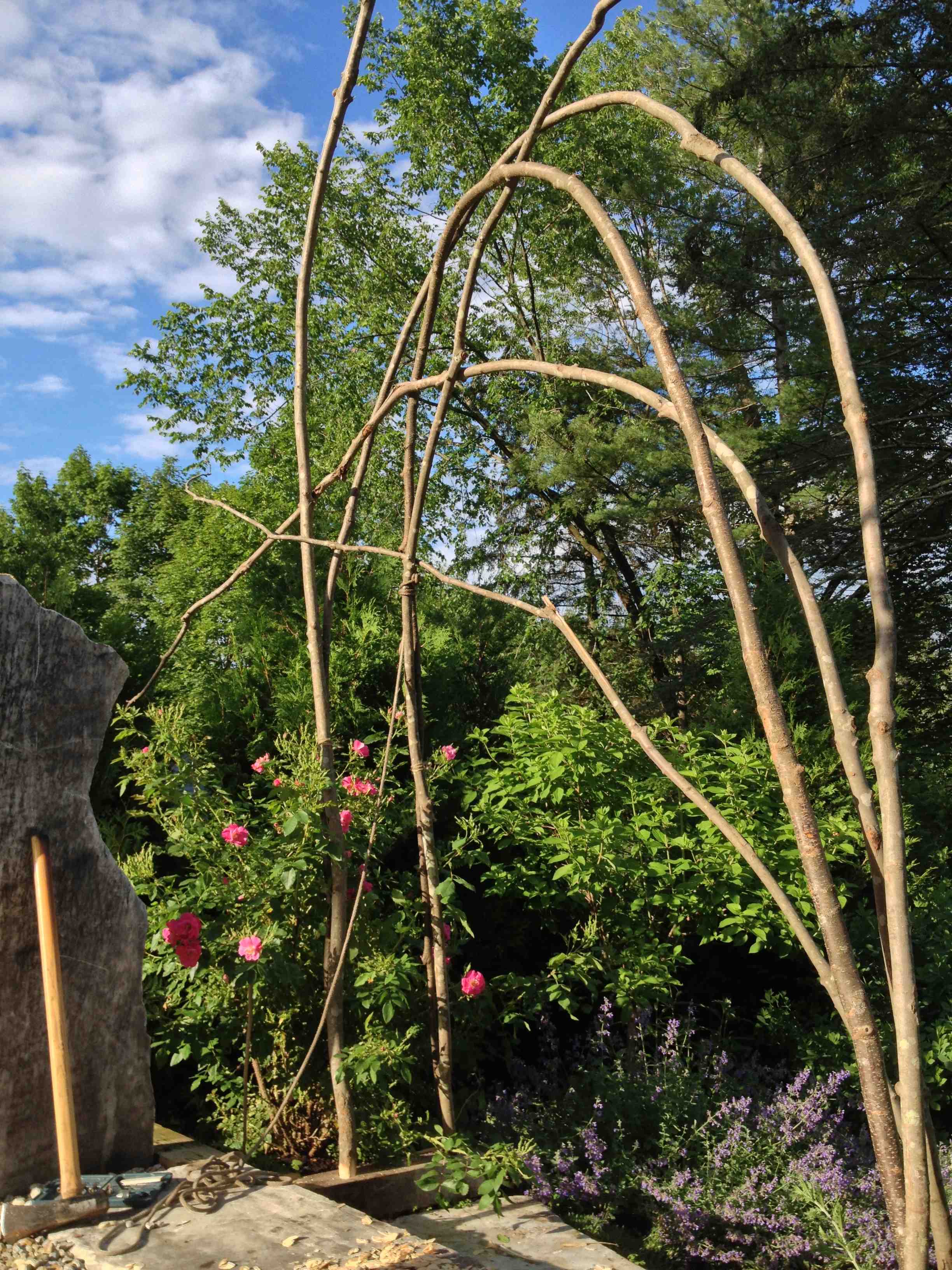 Rustic Trellises Urban Farm Huburban Farm Hub