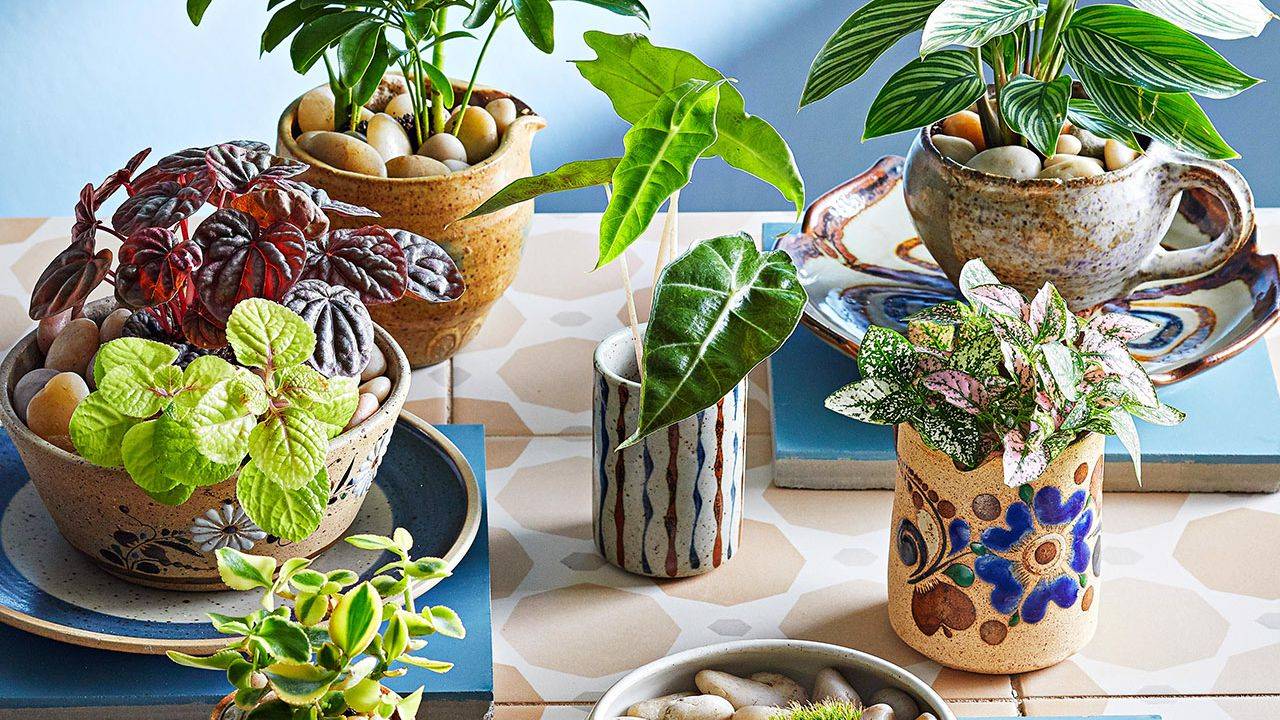 Mimic Outdoor Landscapes