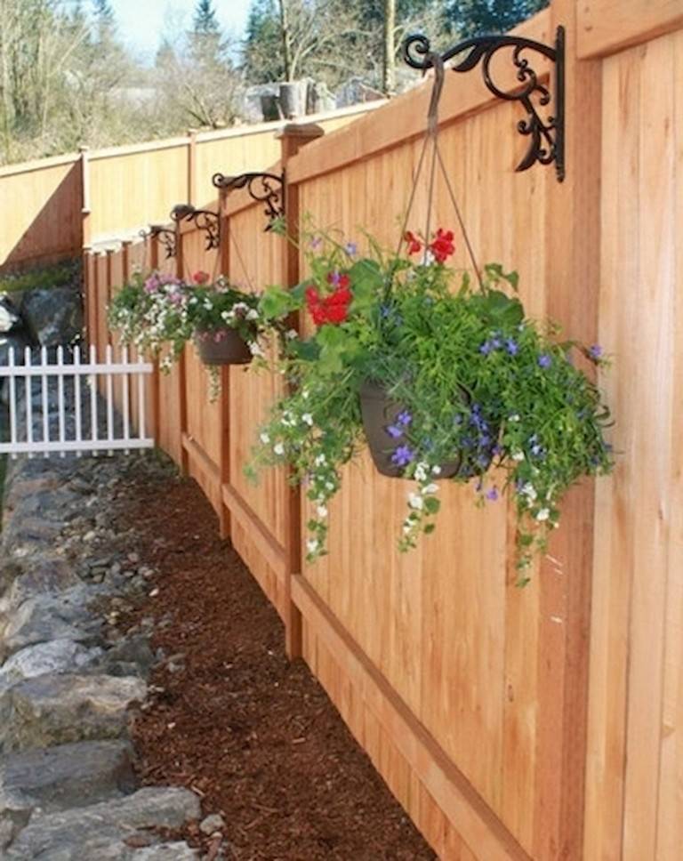 Backyard Privacy Screen