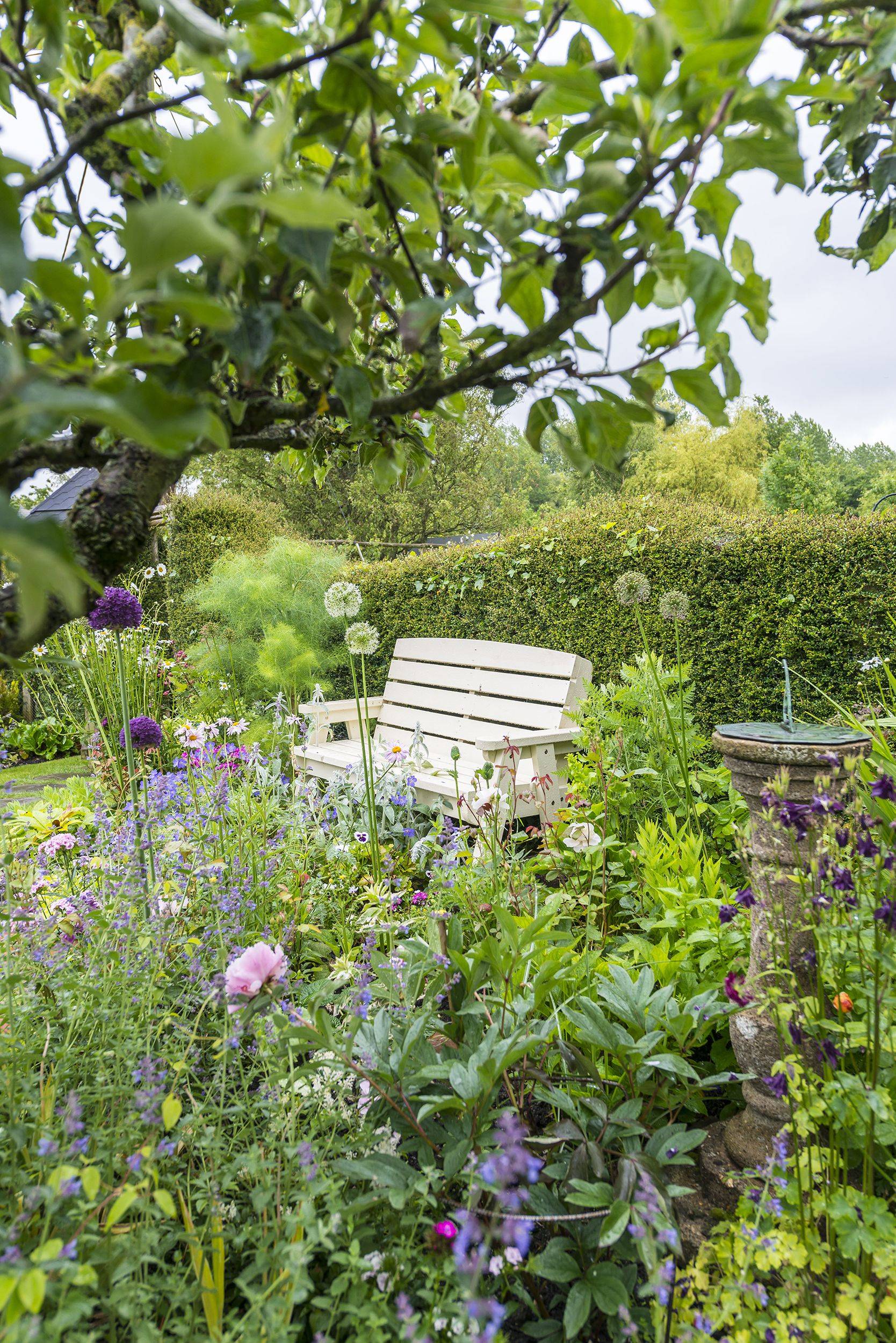 Stunningcottagegardenwithclimbingrose Homemydesign