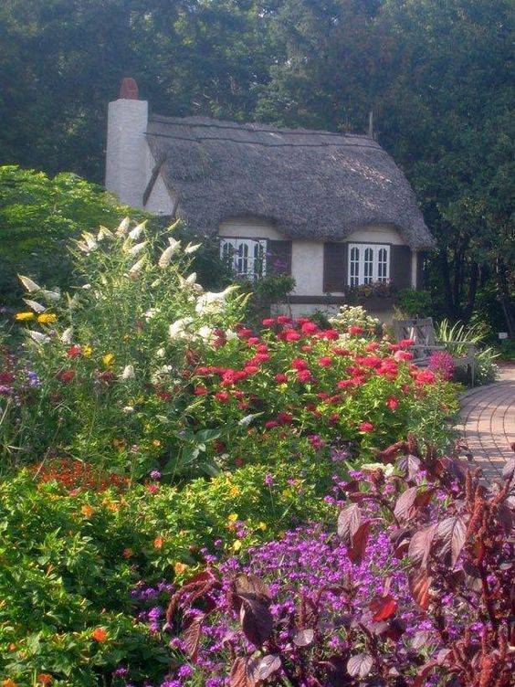 Cottage Garden Plants