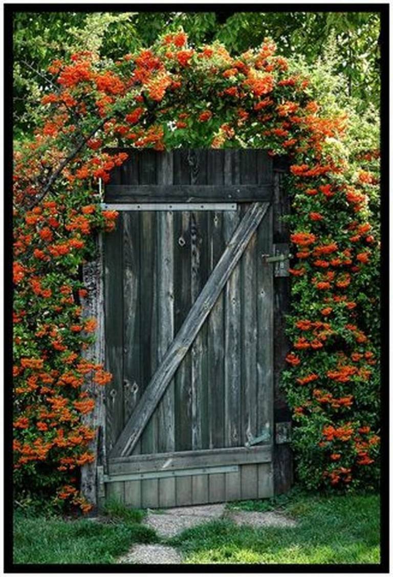 Fantastic Rustic Garden Gates Decor Ideas