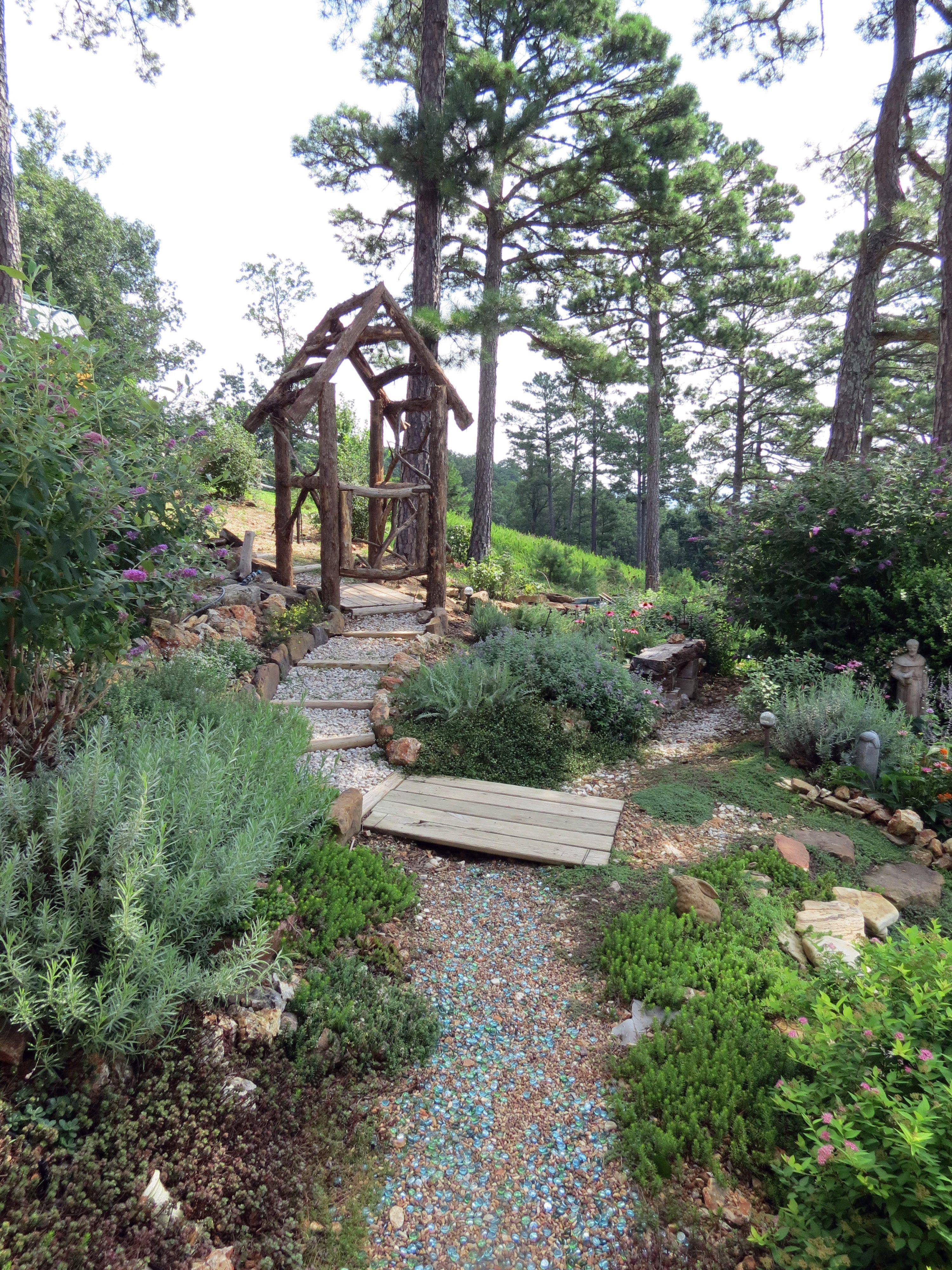 Inspiring Grape Vine Ideas