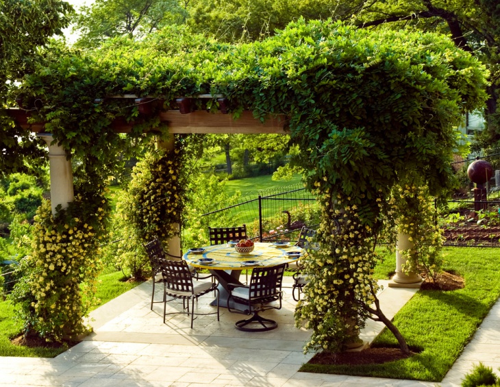Garden Trellis Ideas