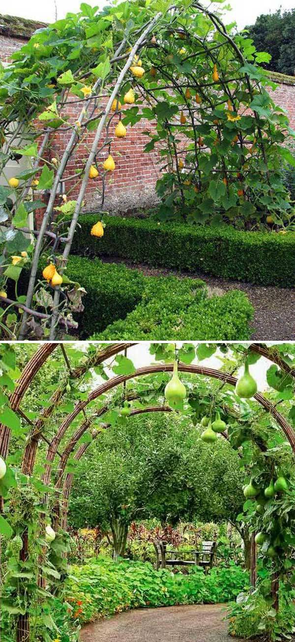 Easy Diy Garden Trellis Ideas