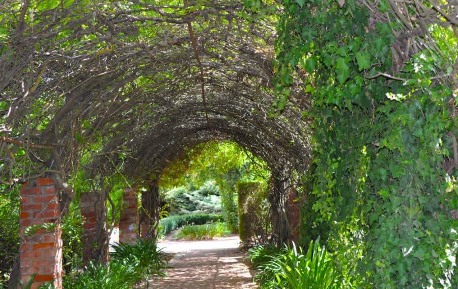 23 Garden Arbor Tunnel Ideas Worth to Check SharonSable