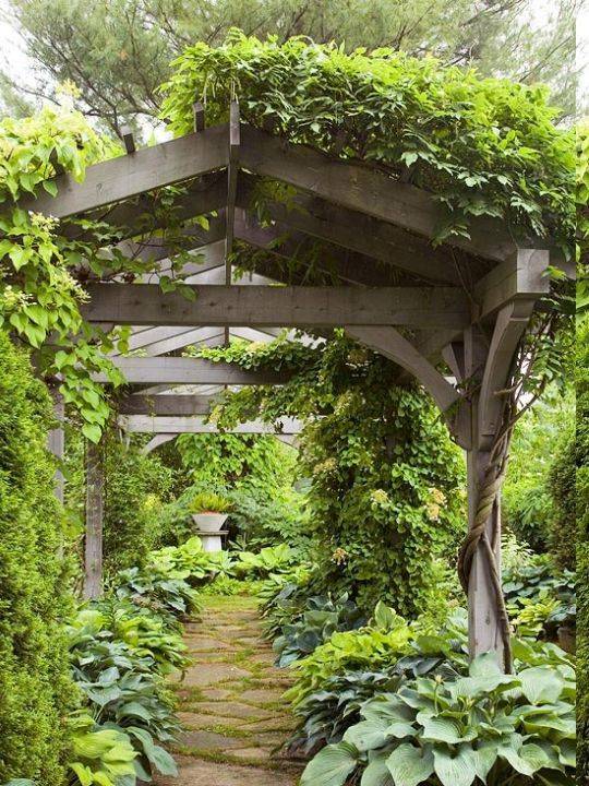 Yard Beauty