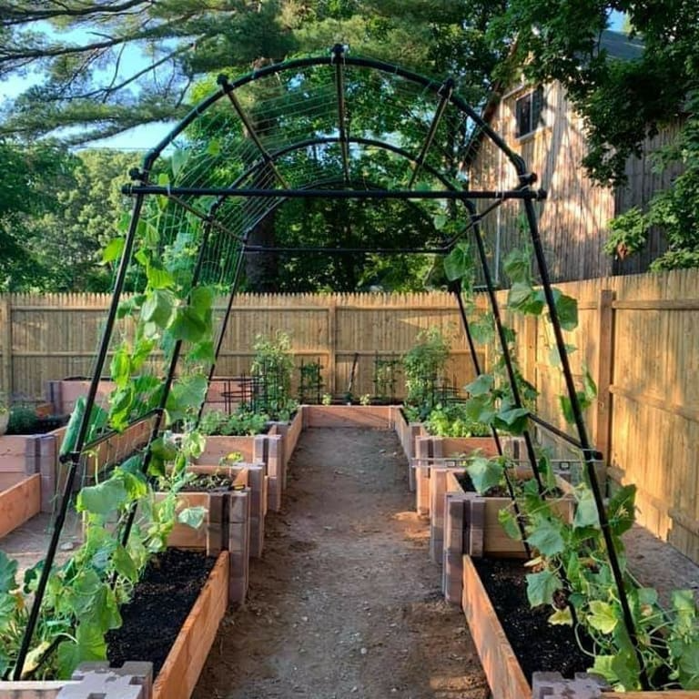 23 Garden Arbor Tunnel Ideas Worth to Check SharonSable