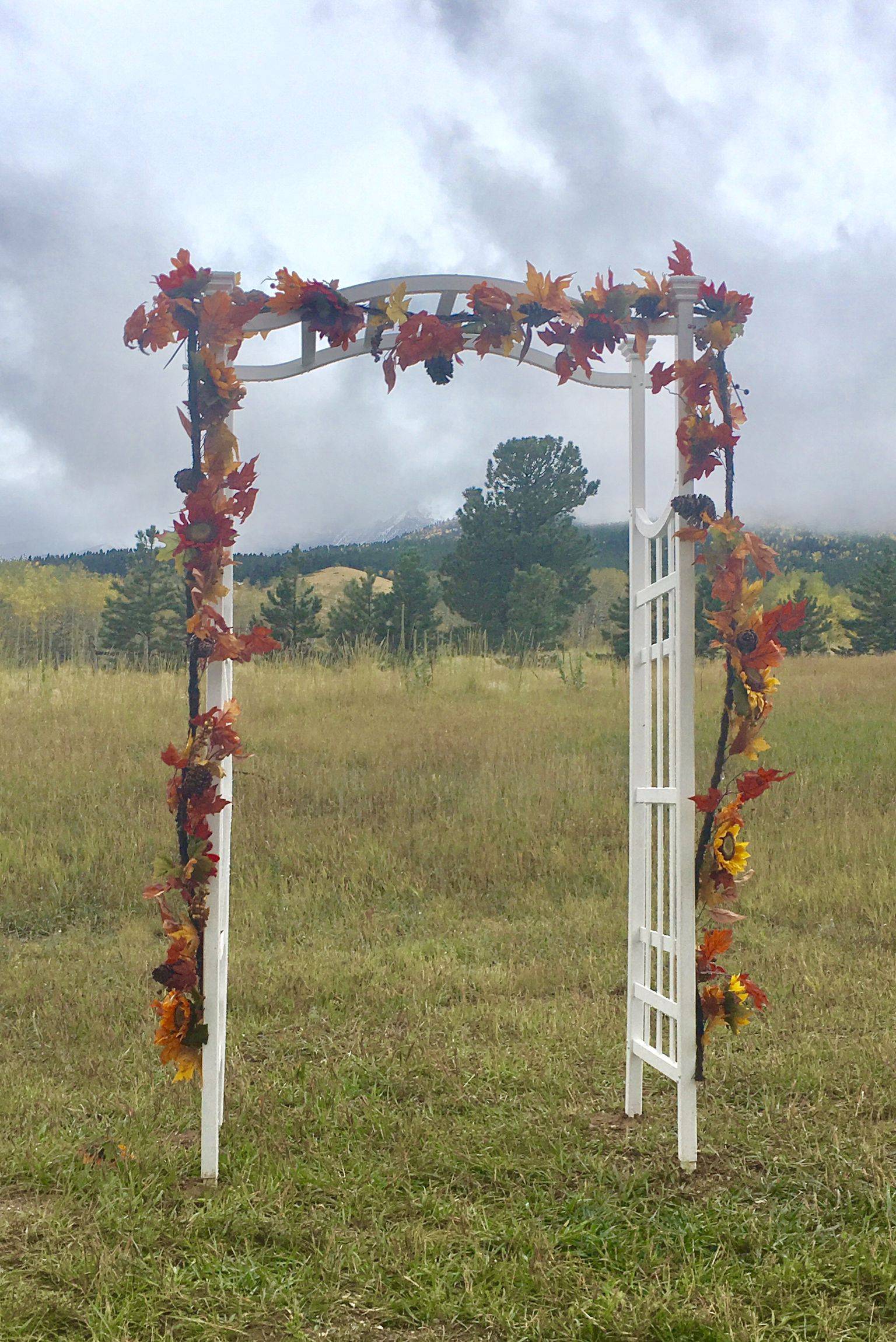 Diy Project Wooden Arbor