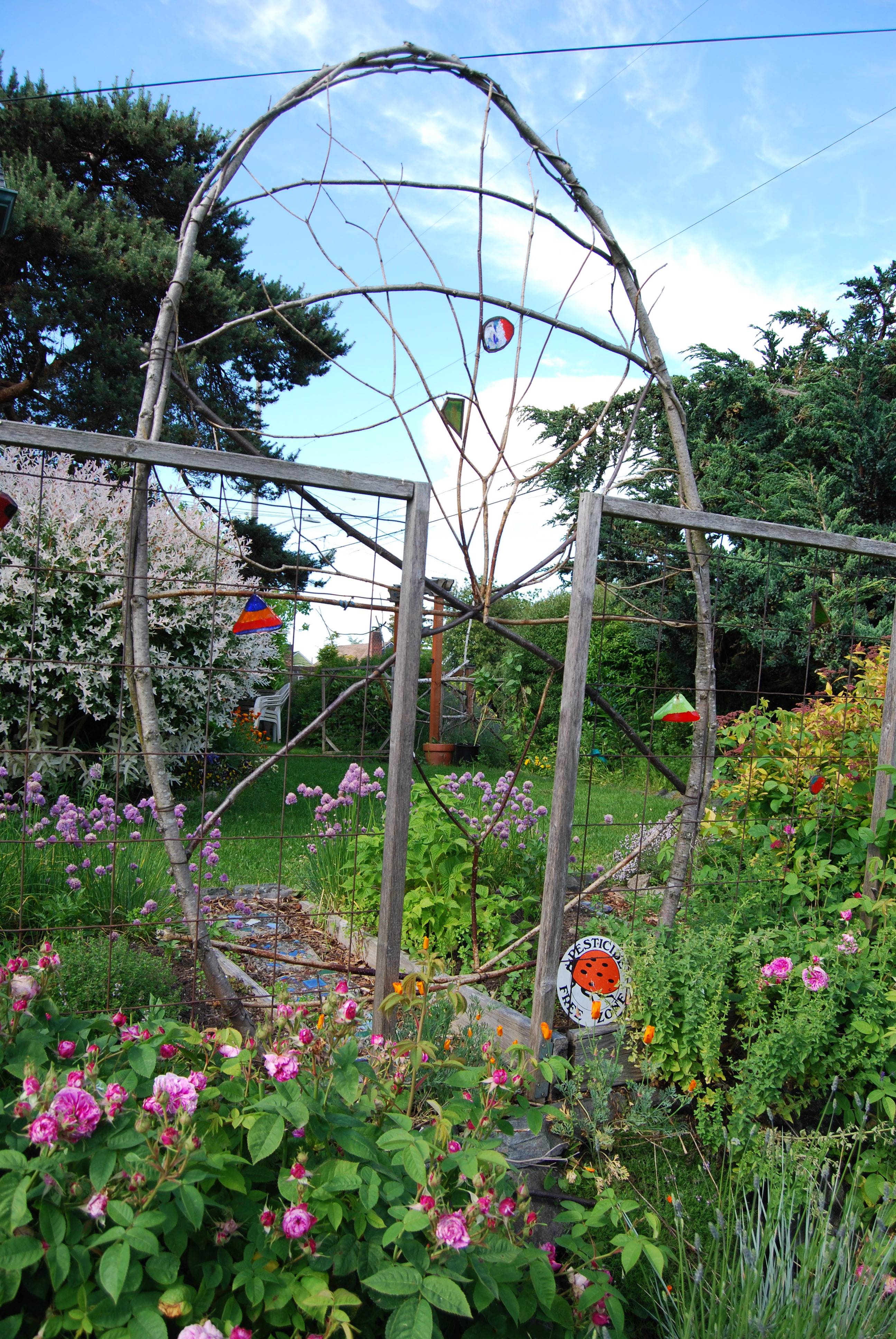 Garden Trellis