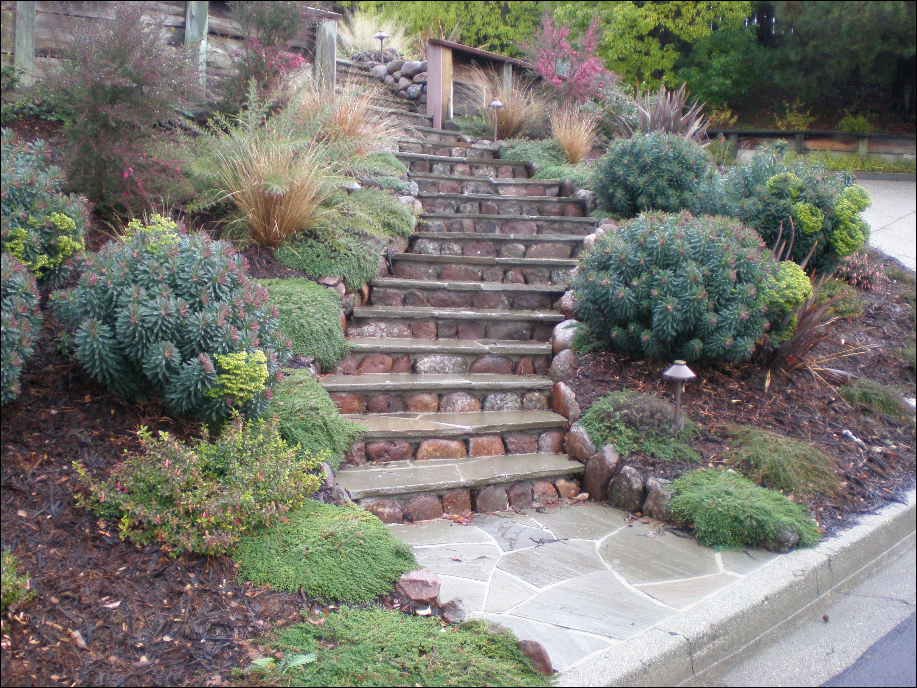 Landscape Steps Landscaping Timber Stairs