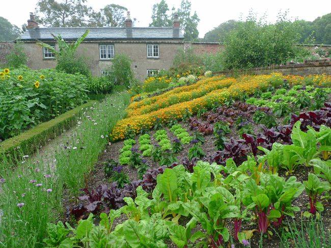 Hillside Landscaping Tips Ideas Gardens Garden Layout