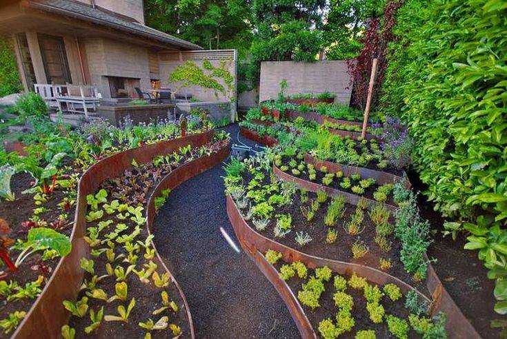 Excited Vegetables Garden Ideas Backyard Garden Design Sloped