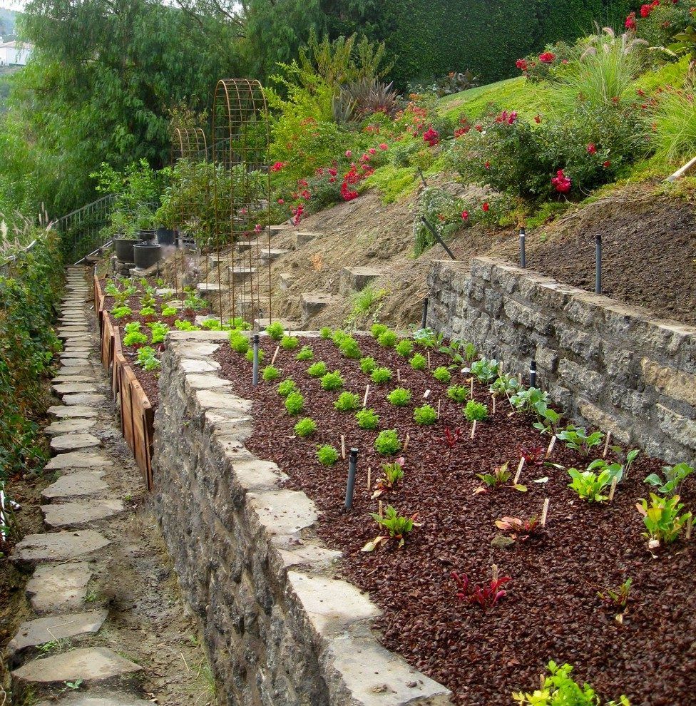 Hill Sloped Garden
