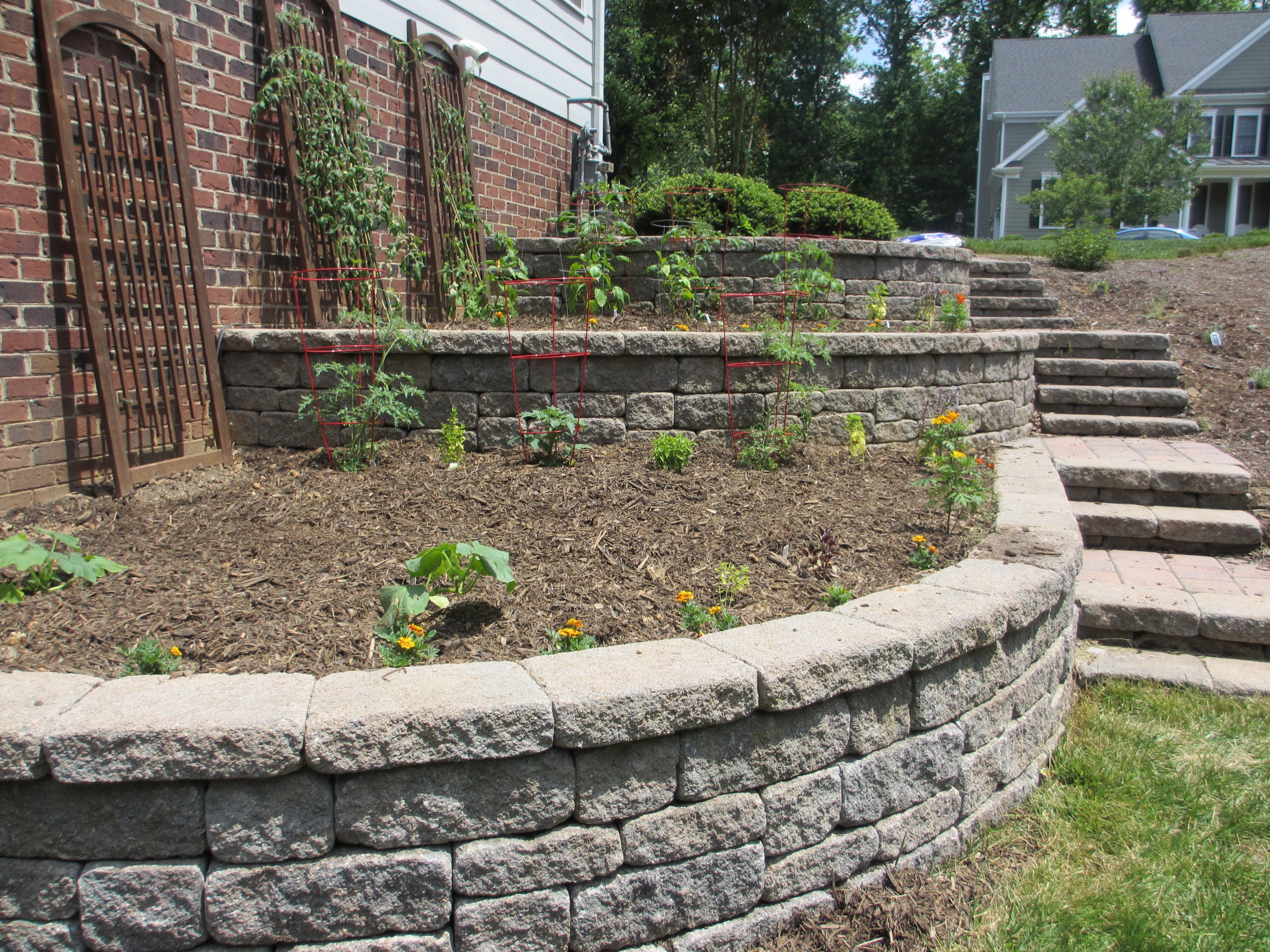 Hillside Terrace Gardens
