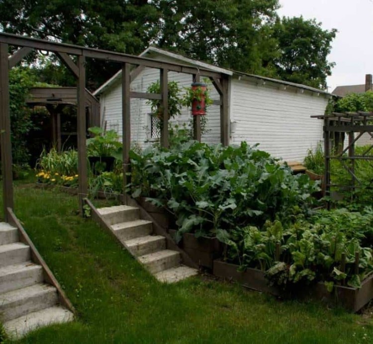 Hillside Vegetable Garden Idea