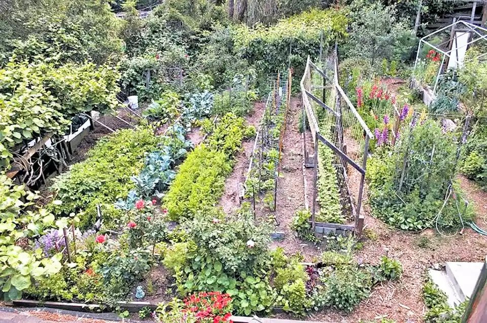 Photo Journal Hillside Landscaping Vol Terracing With Wood
