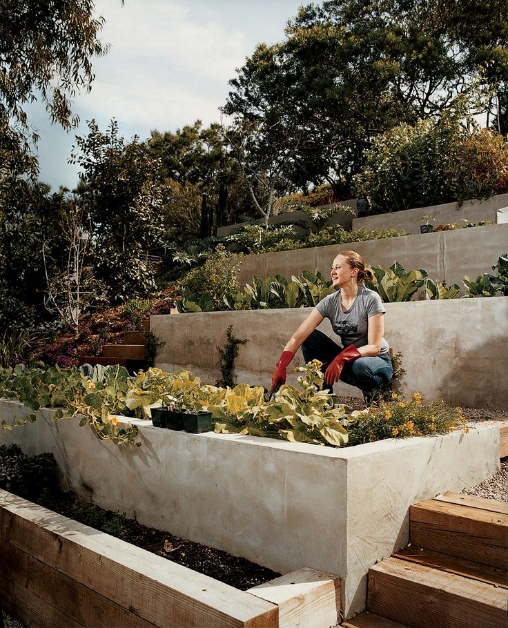Terraced Vegetable Garden