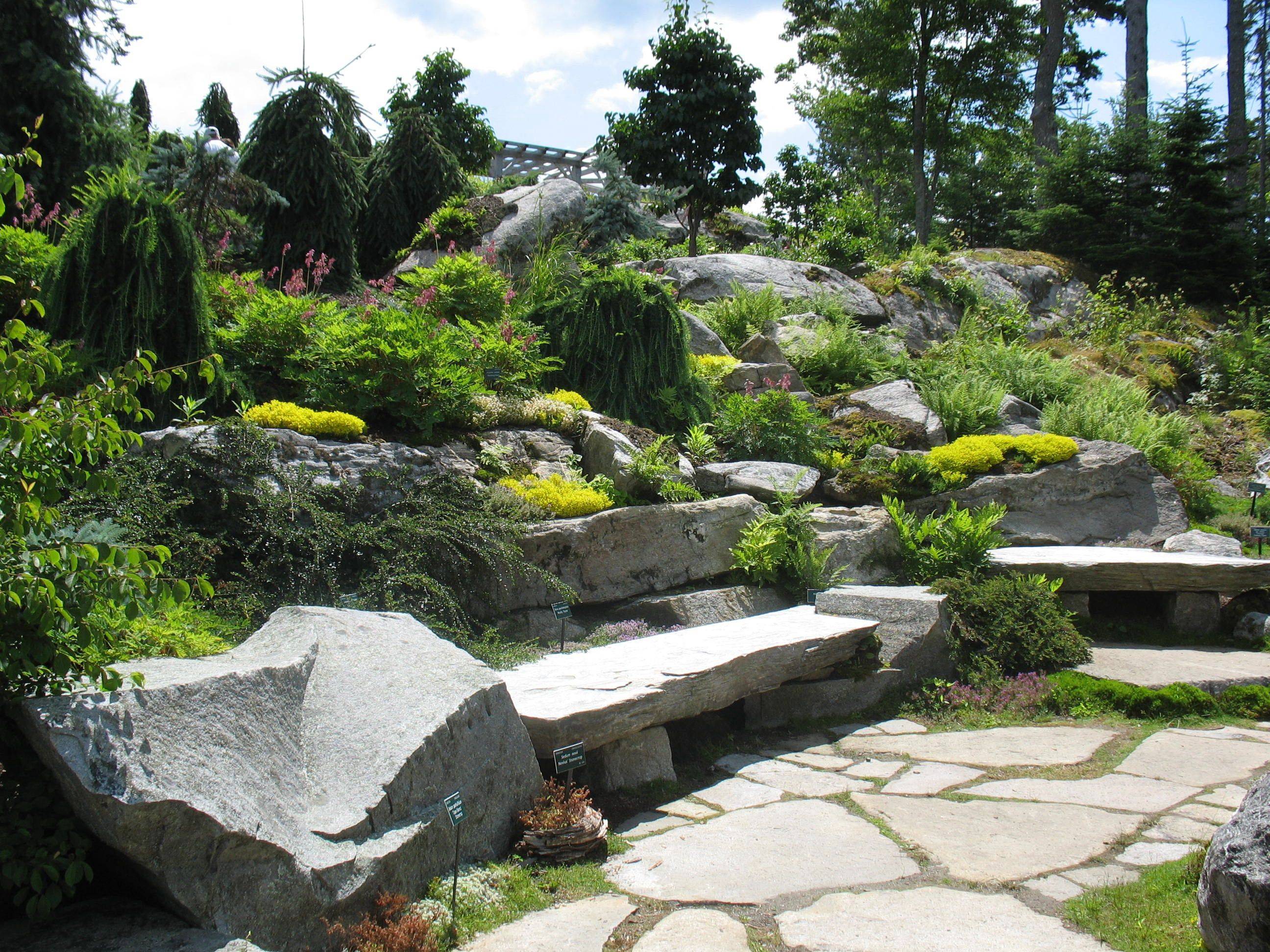 Rock Garden