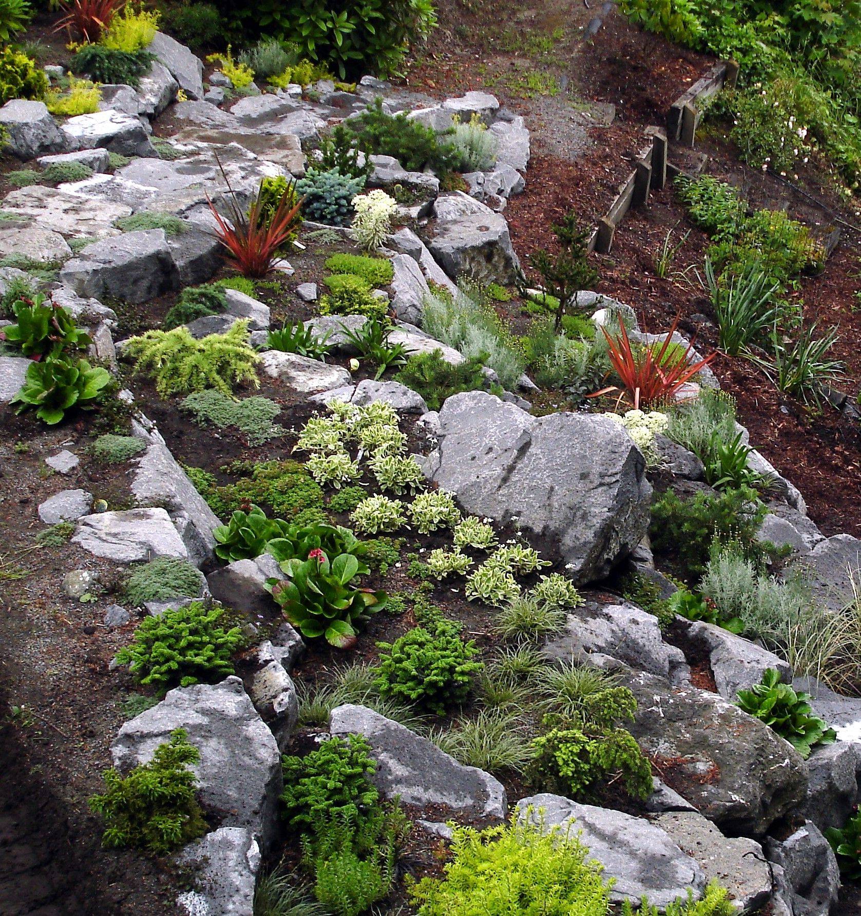 Beautiful Front Yard Rock Garden Landscaping Ideas
