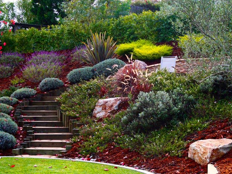 Hillside Landscaping Ideas