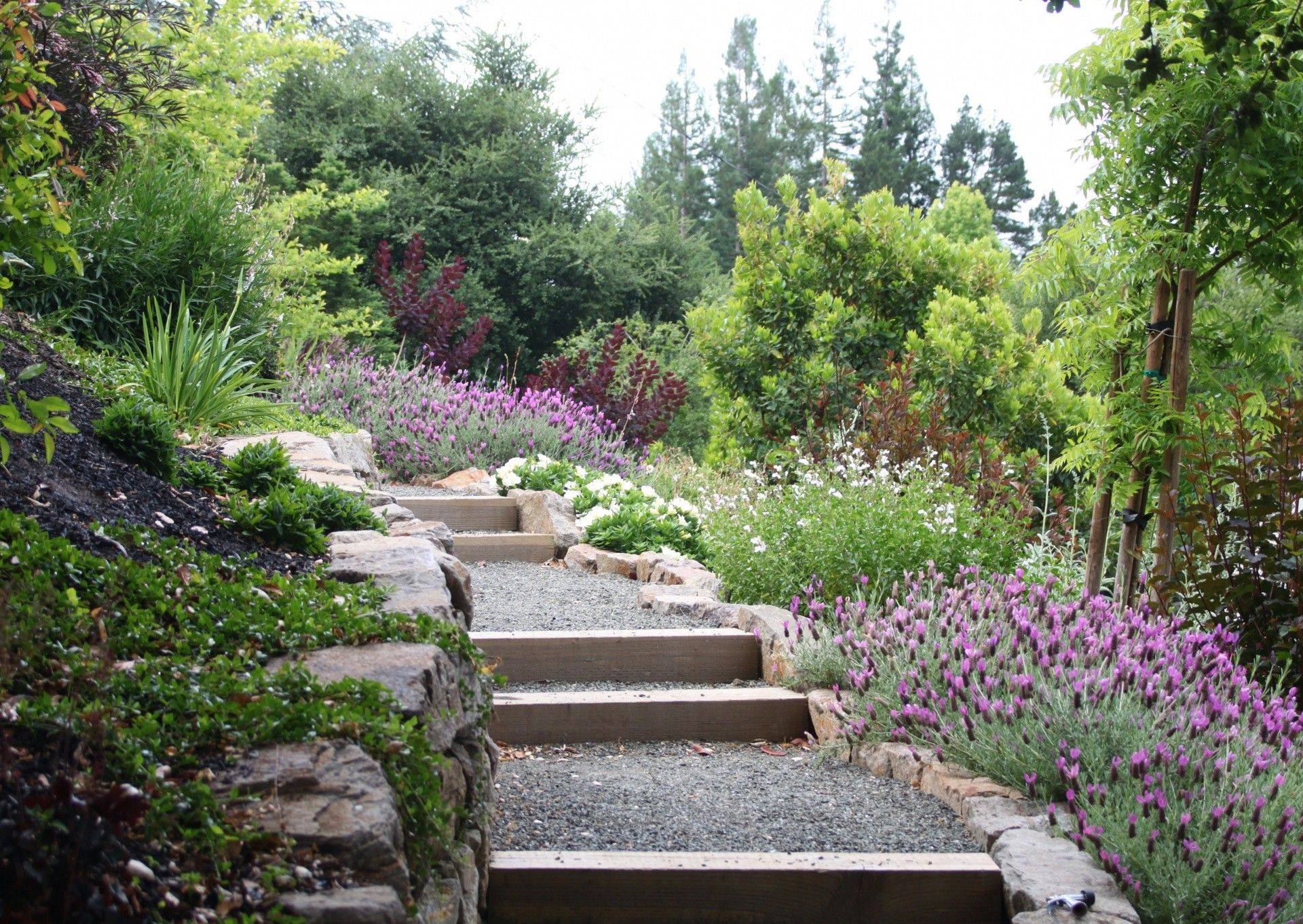 Hillside Landscaping Ideas