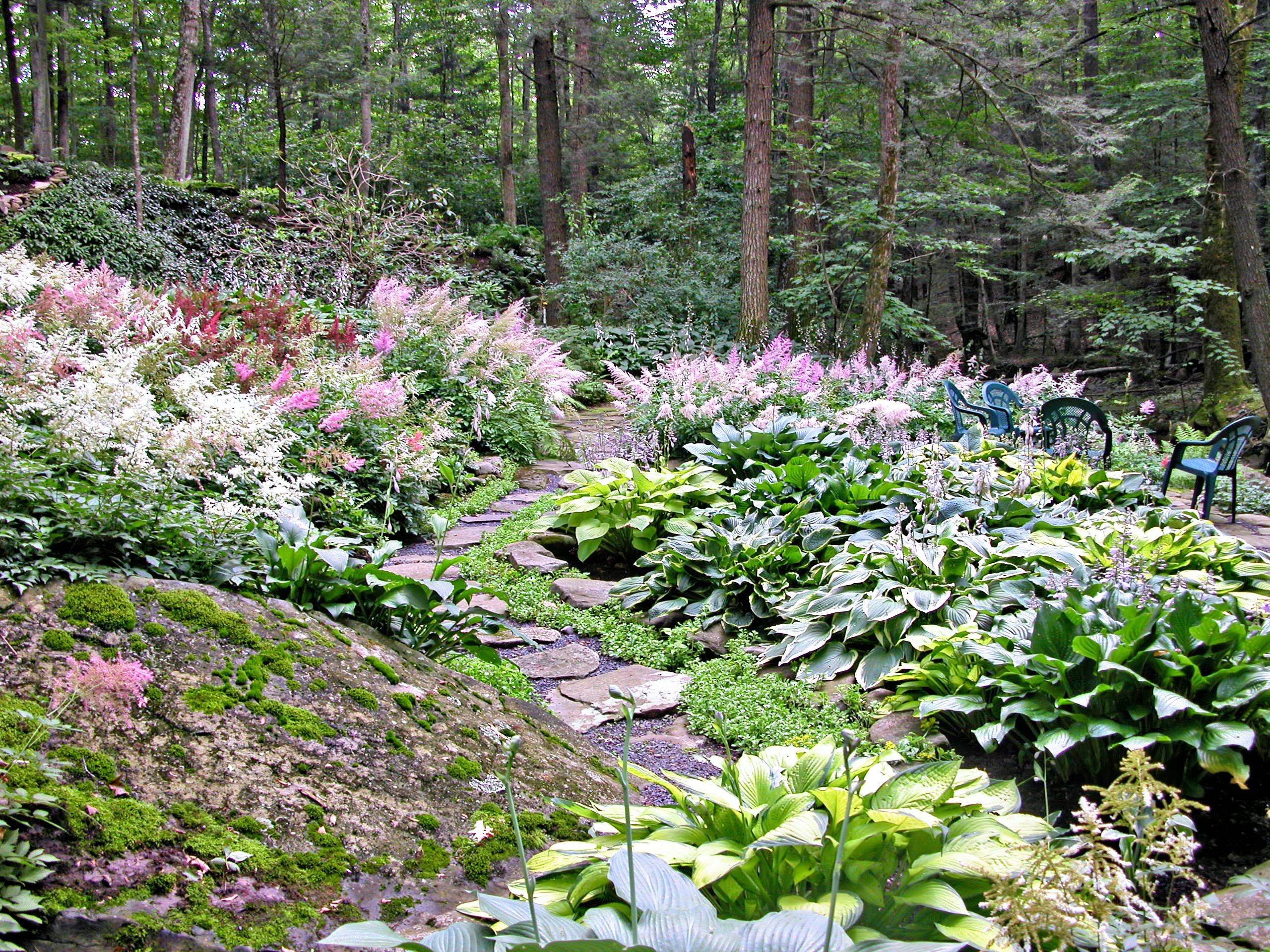 Hillside Garden Ideas