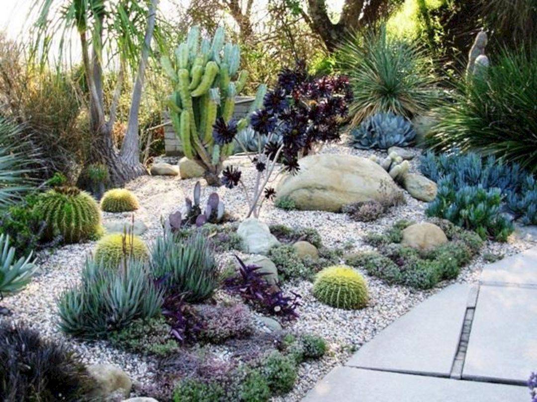 Beautiful Cactus Landscaping Ideas